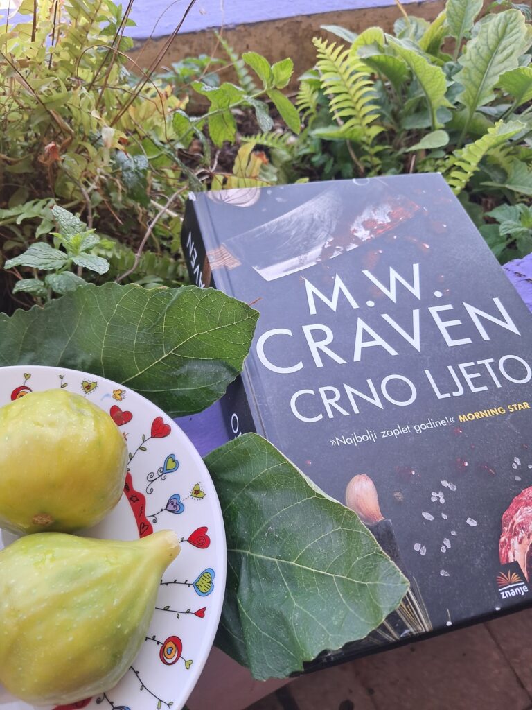 M.W.Craven Crno ljeto